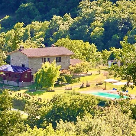 Mercatale Agriturismo Vista Sole别墅 外观 照片