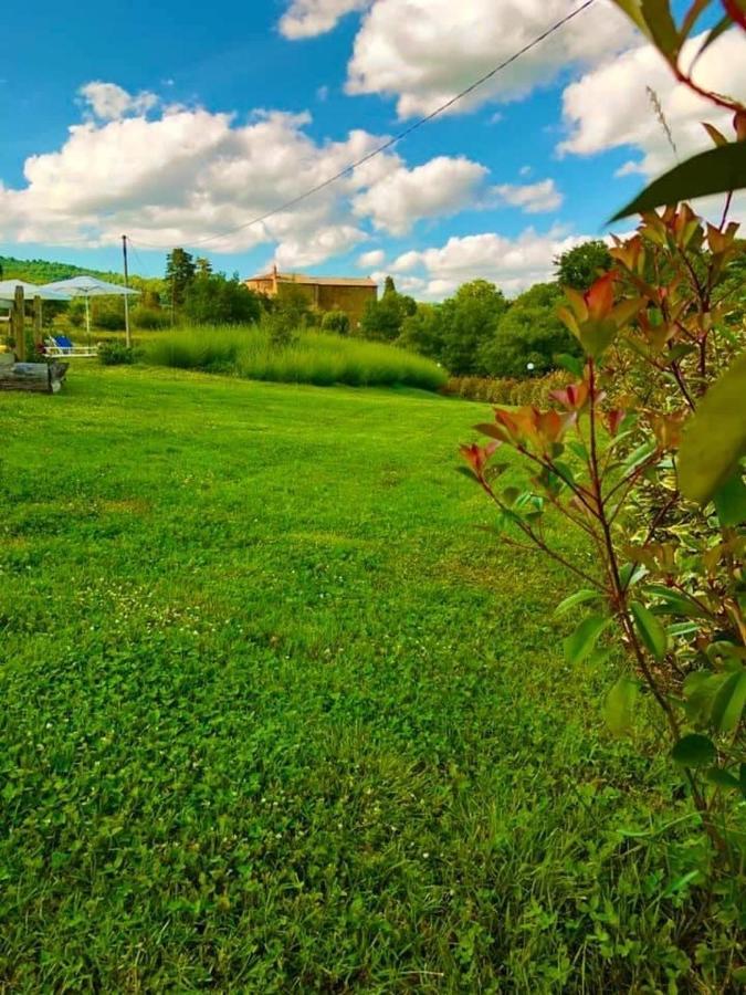 Mercatale Agriturismo Vista Sole别墅 外观 照片