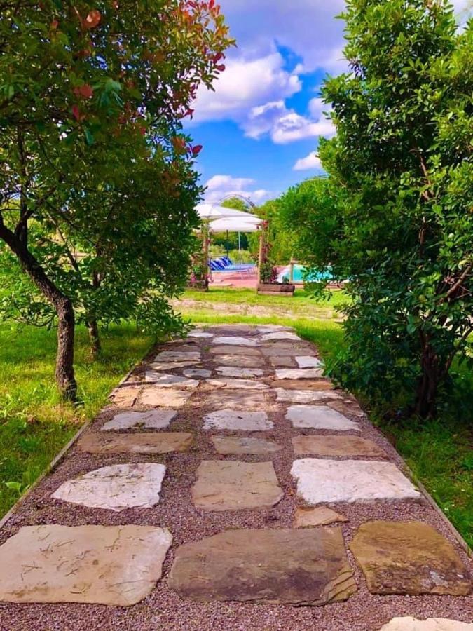 Mercatale Agriturismo Vista Sole别墅 外观 照片