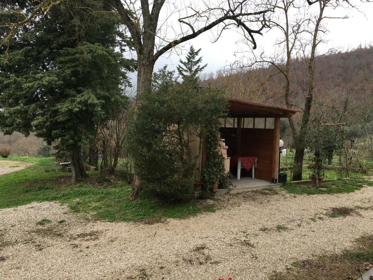 Mercatale Agriturismo Vista Sole别墅 外观 照片