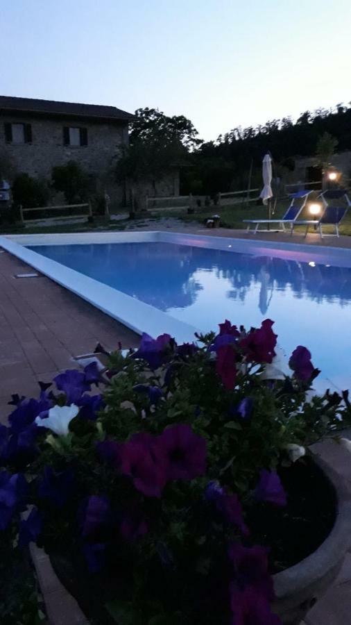 Mercatale Agriturismo Vista Sole别墅 外观 照片