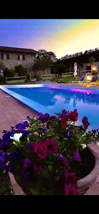 Mercatale Agriturismo Vista Sole别墅 外观 照片